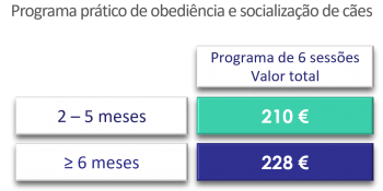 Socializacao-2026