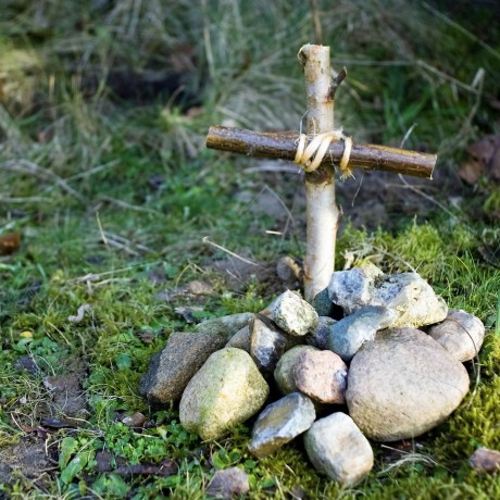 iStock_000033750004_Large (3)