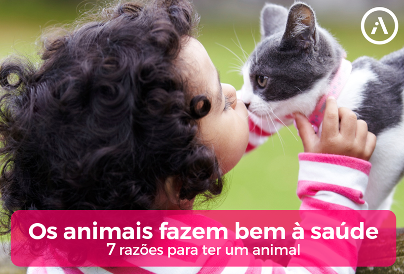 Imagem1