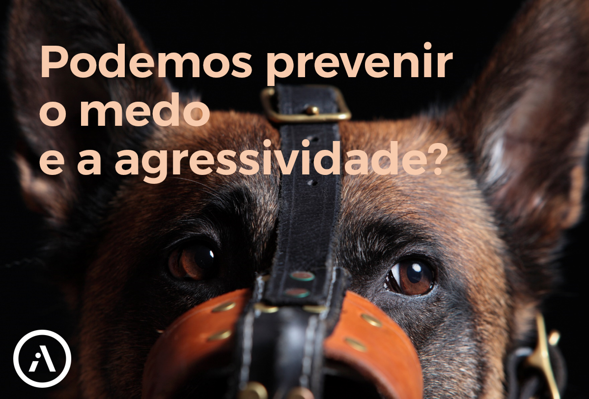 Prevenir-Agress